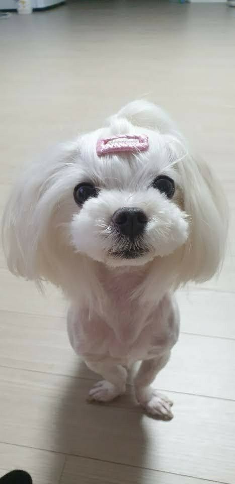 미용 전